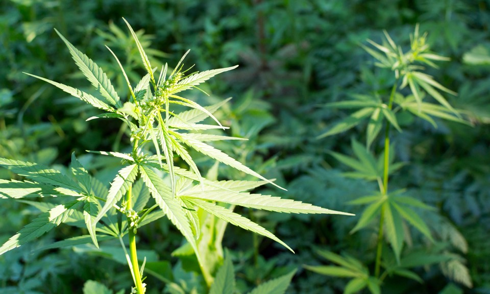 Cheap Car Lending - 3 Ways To Economize