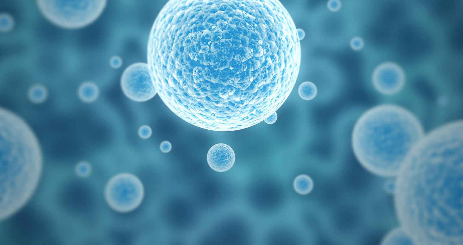 Lack of knowledge sharing holds back stem cell research