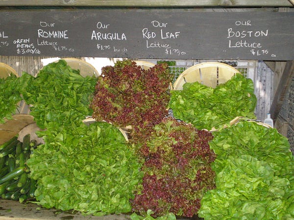 Different Types Of Lettuce