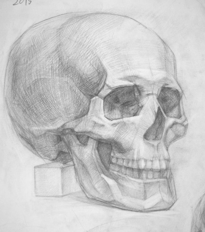 Рисуем академический череп Рисуем академический череп