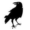 Go to the profile of Blackwing