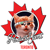 Product Hunt Toronto