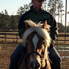 The Stable of Leadership