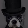 Go to the profile of yustinusbima