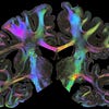 Go to the profile of Brain Byte