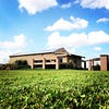 RICCITELLI WINES