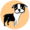 PetDom