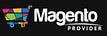 Published in Magento Articles