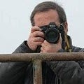Go to the profile of Pedro Ribeiro Simões
