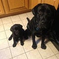 Lynn Stacy Smith - @lynnstacysmith - Medium