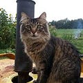 Go to the profile of Cat Schrodinger
