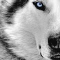 Go to the profile of evodanh
