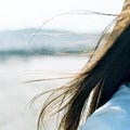 Go to the profile of Sheng-Chuan Yen