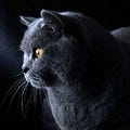 Janet - @janet81941964 - Medium