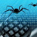 Go to the profile of SpyderSC