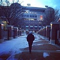 Go to the profile of Ross Harrison
