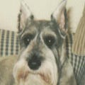 Cheryl Handy - @jodigirl1000 - Medium