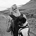 Go to the profile of Lewis the Hydrologist