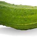Go to the profile of Pride & Pickles