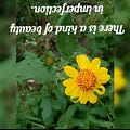 Go to the profile of LIFE'S MOMENTS AND EVENTS