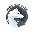 Go to the profile of Steppenwolves Consultant Team