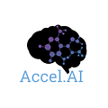 Go to the profile of Accel.ai