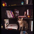 Go to the profile of Physics_Cat