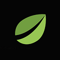 Bitfinex