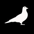 Go to the profile of Courier