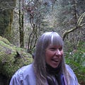 Go to the profile of Wren Wright