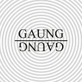 Go to the profile of Gaung