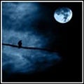 Go to the profile of Arseny Reutov