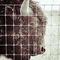 Go to the profile of V. Plut