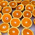 Go to the profile of The Color Orange