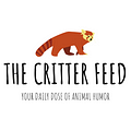 Go to The Critter Feed