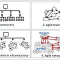 Go to Business Transformation Initiatives