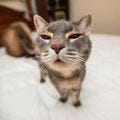 Go to the profile of nusenu