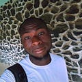 Go to the profile of Olumide Shoyele