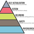 Go to the profile of The Self Actualizer
