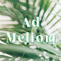 Go to the profile of Ad Meliora