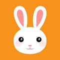 Go to the profile of Bobby Carrot