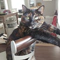 Sylvie Coachypno - @sylvieracine - Medium