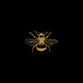 Go to the profile of Cardy Bee