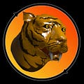 Go to the profile of Tiger Swap Global
