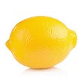 Go to the profile of john lemon