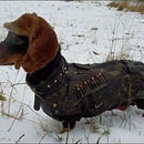 Ready to hunt? First, Show me your data!