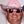 Go to the profile of Chris Spintzyk