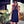 Go to the profile of Fritha Hookway