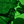 Go to the profile of The Military Leader