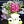 Go to the profile of florists singapore